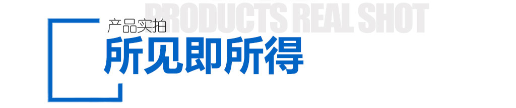 皮带秤展示