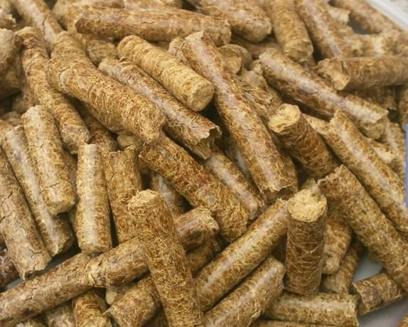 生物质给料系统