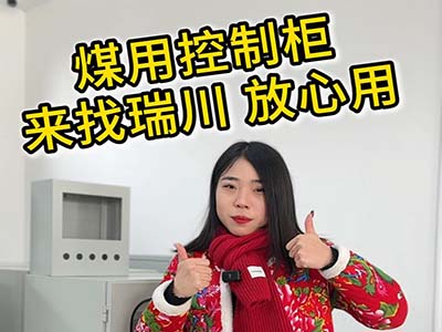 煤用控制柜来找瑞川放心用